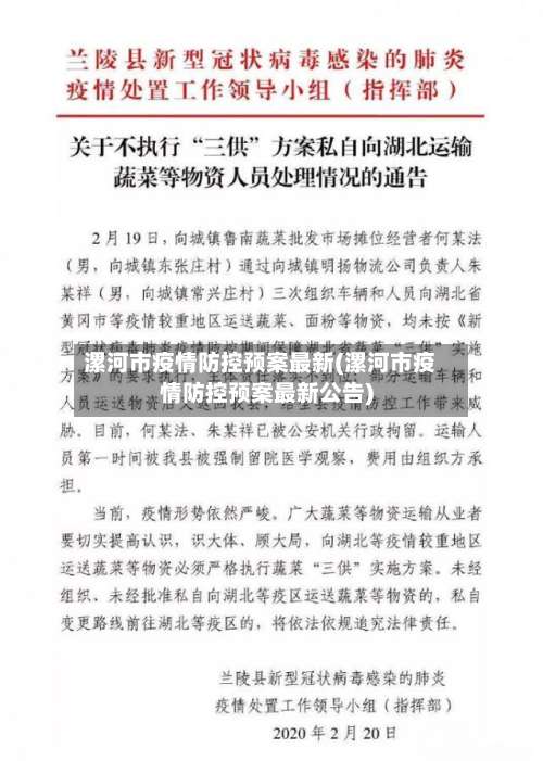 漯河市疫情防控预案最新(漯河市疫情防控预案最新公告)-第2张图片