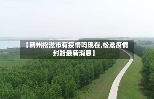 【荆州松滋市有疫情吗现在,松滋疫情封路最新消息】-第3张图片