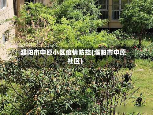 濮阳市中原小区疫情防控(濮阳市中原社区)-第1张图片