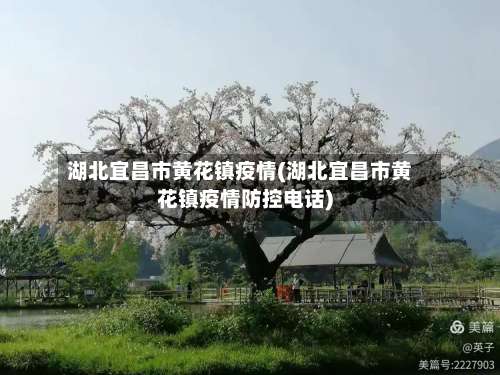 湖北宜昌市黄花镇疫情(湖北宜昌市黄花镇疫情防控电话)-第1张图片