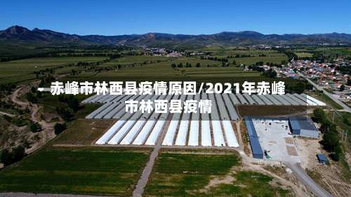 赤峰市林西县疫情原因/2021年赤峰市林西县疫情-第1张图片