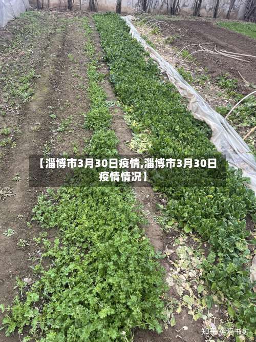 【淄博市3月30日疫情,淄博市3月30日疫情情况】-第1张图片