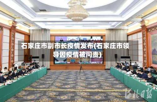 石家庄市副市长疫情发布(石家庄市领导因疫情被问责)-第1张图片