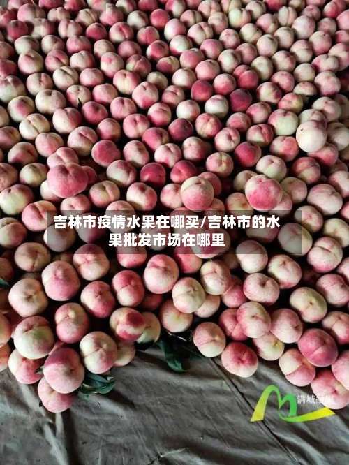 吉林市疫情水果在哪买/吉林市的水果批发市场在哪里-第1张图片