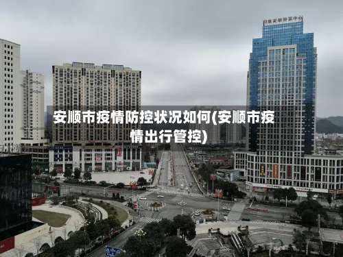 安顺市疫情防控状况如何(安顺市疫情出行管控)-第1张图片