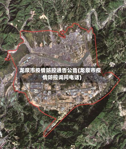 龙泉市疫情防控通告公告(龙泉市疫情防控询问电话)-第2张图片