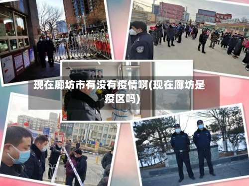 现在廊坊市有没有疫情啊(现在廊坊是疫区吗)-第2张图片