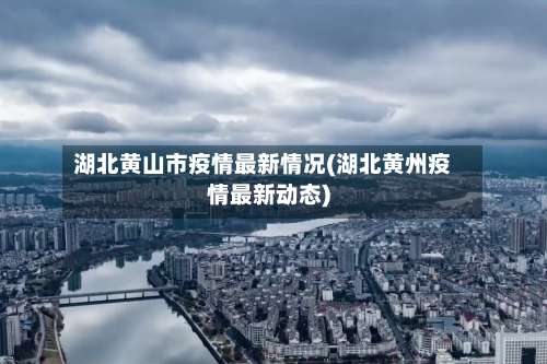 湖北黄山市疫情最新情况(湖北黄州疫情最新动态)-第3张图片