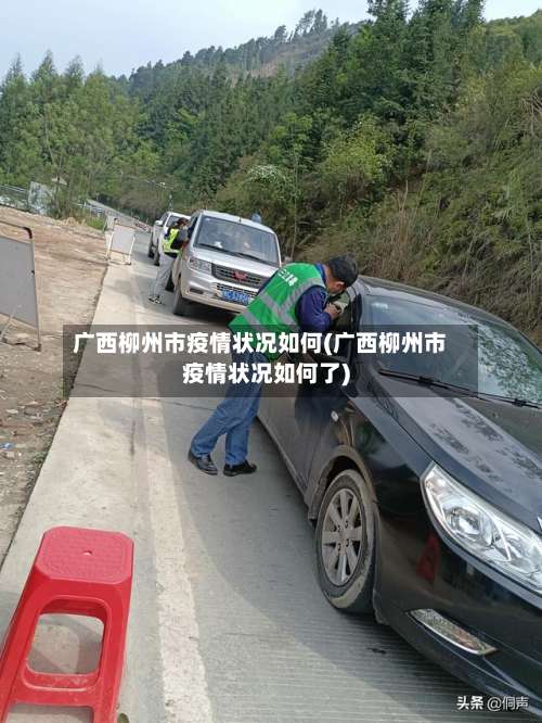 广西柳州市疫情状况如何(广西柳州市疫情状况如何了)-第1张图片