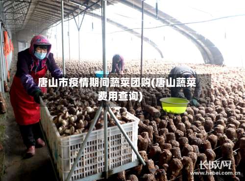 唐山市疫情期间蔬菜团购(唐山蔬菜费用查询)-第1张图片