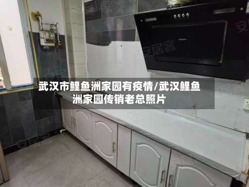 武汉市鲤鱼洲家园有疫情/武汉鲤鱼洲家园传销老总照片-第2张图片