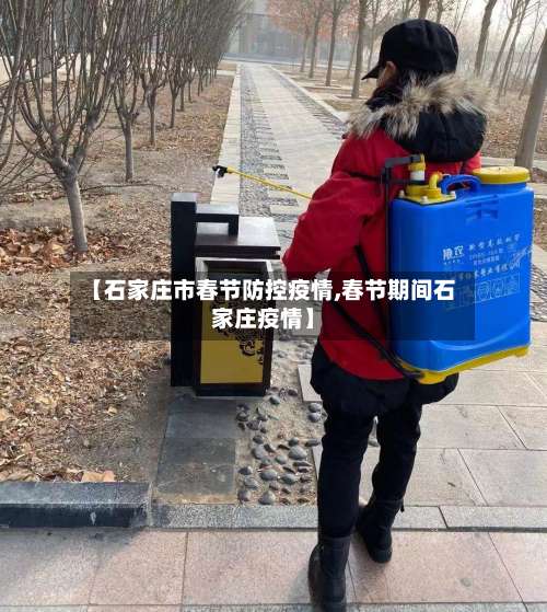 【石家庄市春节防控疫情,春节期间石家庄疫情】-第3张图片