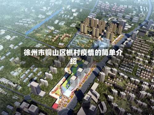 徐州市铜山区樵村疫情的简单介绍-第2张图片