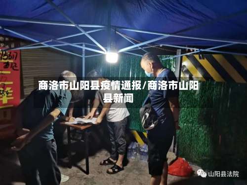 商洛市山阳县疫情通报/商洛市山阳县新闻-第1张图片