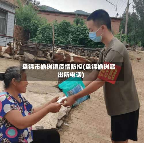 盘锦市榆树镇疫情防控(盘锦榆树派出所电话)-第1张图片