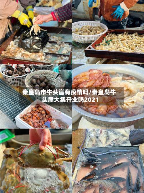 秦皇岛市牛头崖有疫情吗/秦皇岛牛头崖大集开业吗2021-第2张图片