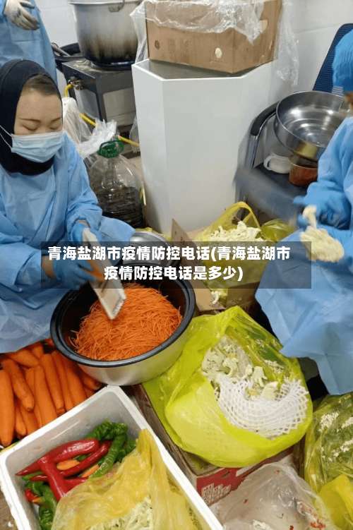 青海盐湖市疫情防控电话(青海盐湖市疫情防控电话是多少)-第1张图片